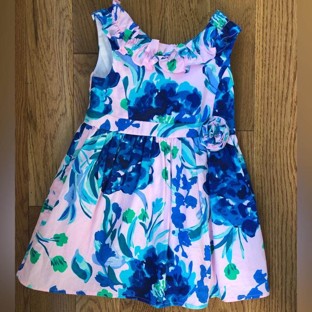 Absolutely Gorgeous Pink and Blue Girls Lilly Pulitzer Dress Size 3